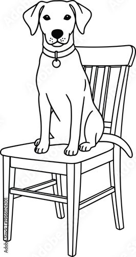 A playful dog sitting calmly on a wooden chair Vector