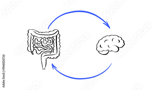 Gut Brain Connection