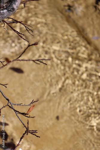 Crystal clear water flowing down from melting snow mixed with limestone water from underground at Huanglong National Park, Songpan County, Sichuan Province of China