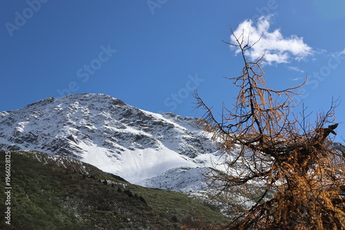 Autumn scenery of Xuebao Peak (Xuebao Snow Mountain) in the Minshan Mountain with dramatic clouds and forest in a sunny day, Songpan County, Sichuan Province of China