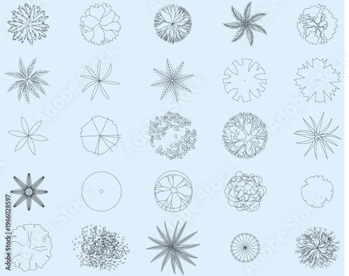 tree set, top view, architectural landscape plan, blueprint, floor plan, plants, vector