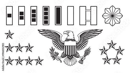 Insignia set including military rank insignia bars, stars, an eagle emblem with olive branch and arrows, and a floral crest.