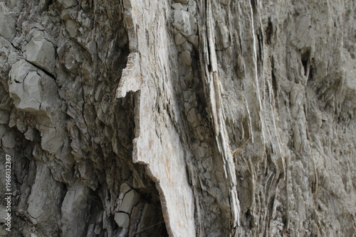 Vertical rock strata texture with erosion lines natural geological background