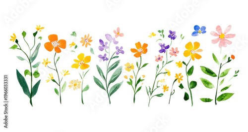 PNG Wild flowers with green leaves border illustration watercolor colorful.