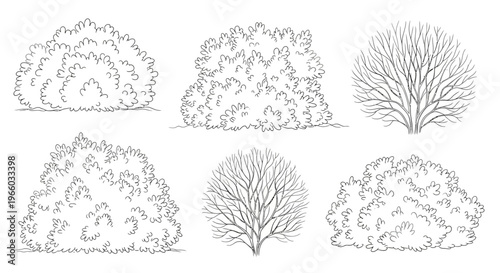 Set of six hand drawn bushes and leafy shrubs in outline style