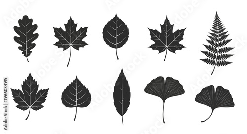 Silhouette collection of autumn leaves showcasing diverse botanical shapes