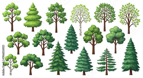 Diverse tree collection featuring pine, birch, and oak for natural scene design