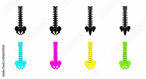 Colorful human spine illustrations displayed in a grid arrangement