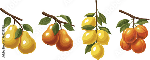 Pear Fruit Branch Collection Set with Ripe Yellow and Red Pears and Leaves Isolated for Fresh Organic Food Illustration Design