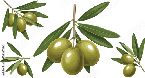 Olive Branch and Fruit Collection Set with Green Olives and Leaves Isolated for Mediterranean Food and Botanical Illustration Design