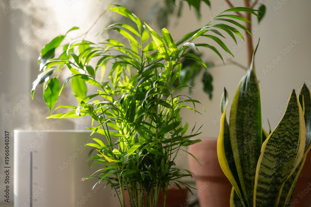 Naklejka premium Humidifier releasing steam near lush parlor palm and snake plants, creating an ideal environment for plant growth and promoting a fresh, healthy indoor atmosphere