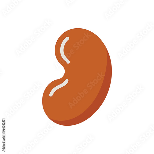 A stylized flat design illustration of a single kidney bean showcasing its characteristic shape high quality