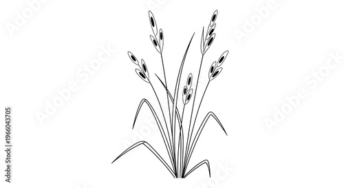 Elegant black and white linear drawing of wild grass and seed pods
