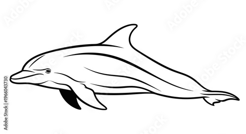 Elegant dolphin outline in minimalist style for marine-themed design