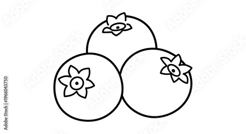 Minimalist black and white blueberries design with outlined style