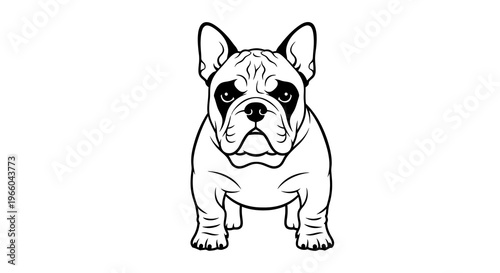 Bold french bulldog in monochrome style on white background
