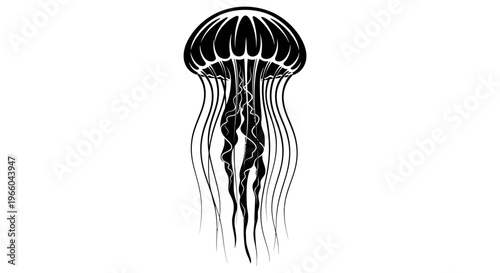 Elegant silhouette of a jellyfish with flowing tentacles on white background