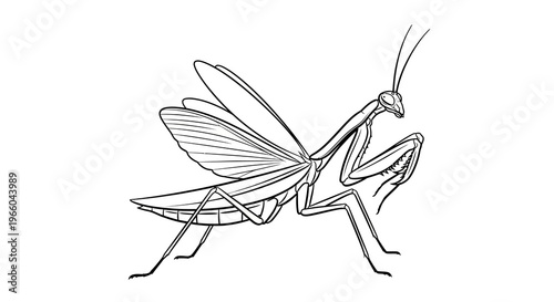 Intricate praying mantis in detailed line art with open wings