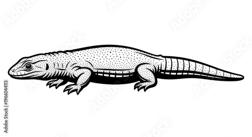 Detailed black and white lizard in retro ink style