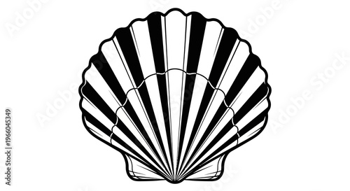 Black and white shell outline design with bold stripes