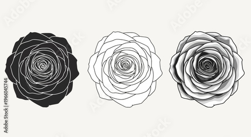 Monochrome rose design collection: bold, minimalist, and layered styles