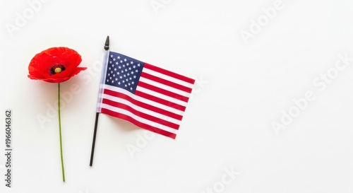 American flag and red poppy flower.