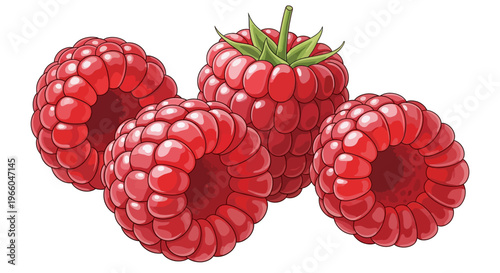 Fresh juicy raspberries with leaves in detailed realistic style