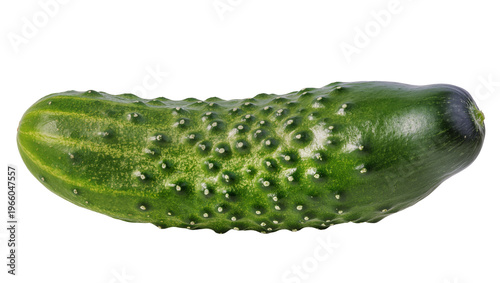 Fotografi Fresh green bumpy gherkin cucumber, isolated on transparent background