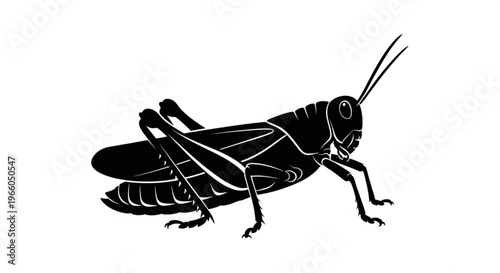 Green grasshopper insect macro close-up isolated on white background showing detailed antenna and legs