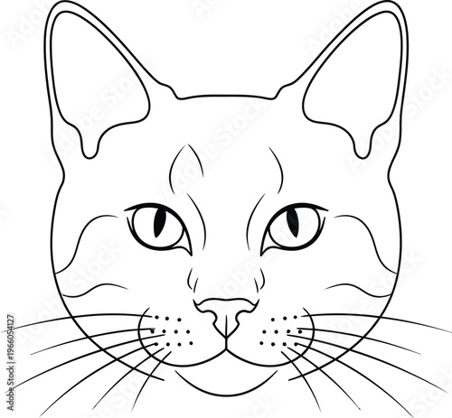 A simple line drawing of a cat face with expressive eyes and whiskers Vector