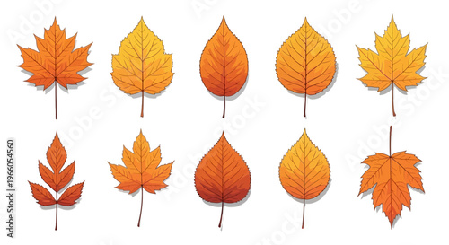 Tropical palm tree vector set, four stylized green and gold palm trees, summer vacation icons for travel branding and beach resort design