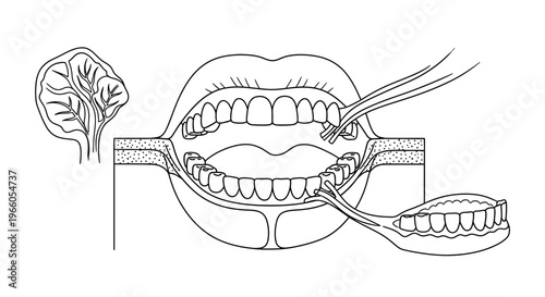 Dental Examination: Dentist Inspecting Teeth with Mirror and Probe, Open Mouth