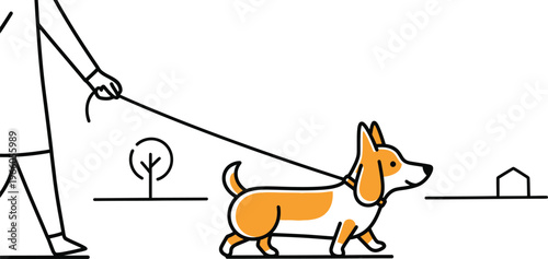 A person walking a corgi on a leash in a suburban neighborhood Vector