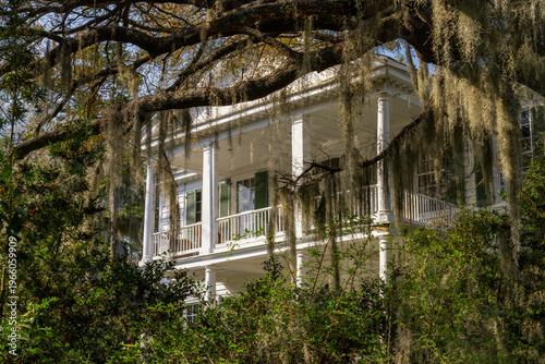 traditional southern home and live oaks with Spanish moss in historic Beaufort