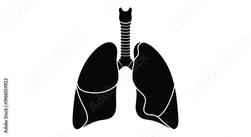 Detailed illustration of human lungs presented as a striking silhouette