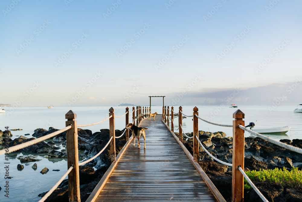 Fototapeta premium Tropical beach jetty in Mauritius resort with turquoise sea and greenery.