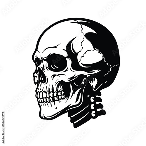 A detailed skull vector side view in black and white, showcasing intricate bone structure and shading, set against a plain white background in a clean digital illustration style. Useful