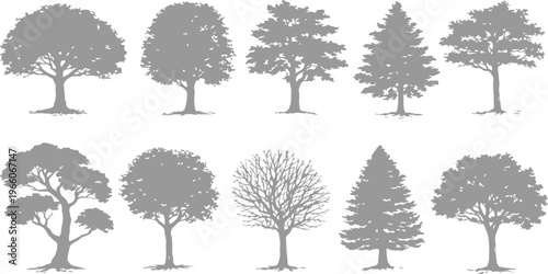 A collection of ten diverse tree silhouettes isolated on a clean white background for design use