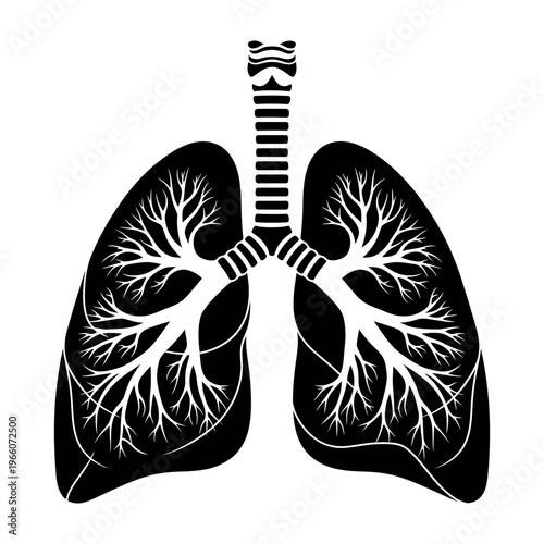 Black and white vector illustration of human lungs and respiratory system anatomy.