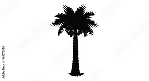 A striking black silhouette of a mature palm tree with full fronds against a clean white background silhouette high quality professional