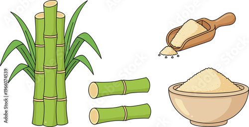 Vector illustration of sugarcane plant, cut stalks, scoop of granulated sugar, and bowl of refined sugar