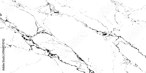 "A high-contrast, black and white abstract texture resembling distressed marble or cracked ice, with organic, flowing lines and scattered dark splotches against a pure white background.