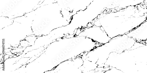 "A high-contrast, black and white abstract texture resembling distressed marble or cracked ice, with organic, flowing lines and scattered dark splotches against a pure white background.