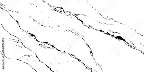 "A high-contrast, black and white abstract texture resembling distressed marble or cracked ice, with organic, flowing lines and scattered dark splotches against a pure white background.