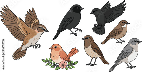 Small Bird Collection Set with Various Sparrow and Songbird Species in Flying and Perching Poses Wildlife Illustration Design