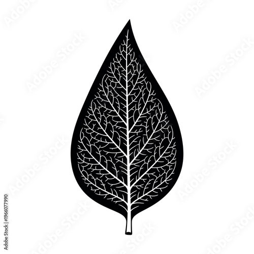 Stylized black leaf silhouette with detailed white vein structure on white background.
