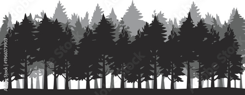 forest layered monochrome woodland scene with depth and mist