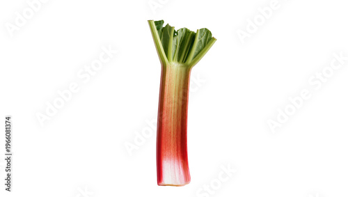 Photos Fresh vibrant red and green rhubarb stalk, perfectly isolated on transparent bac
