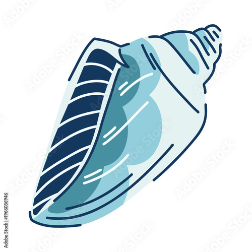 Smooth sea shell of gastropod mollusk strombus canarium in azure color on white, decorative shell, sound of surf noise