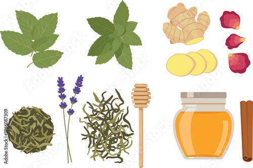 Herbal Tea Ingredients Including Mint, Ginger, Lavender, Honey, and Cinnamon for Wellness and Natural Remedies